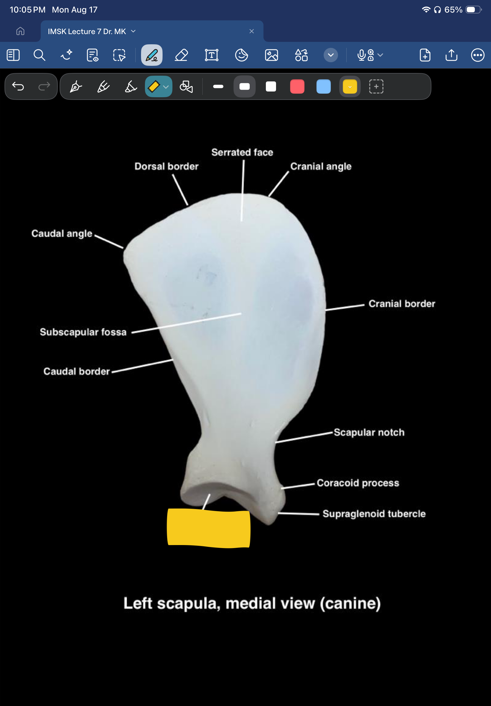 term image