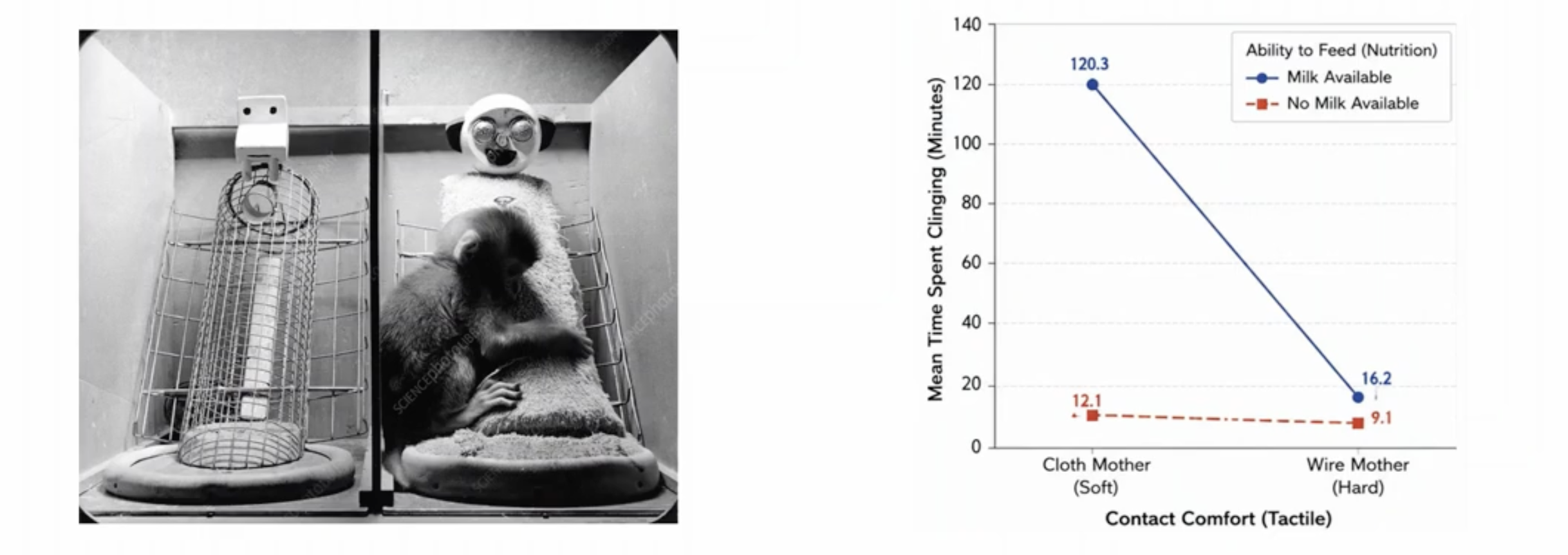 <ul><li><p>the cell shows a diff value than predicted by the main effects</p></li><li><p>e.g. table</p><ul><li><p>If video games increase aggression, it doesn’t in all genders (not predicting as it should)</p></li><li><p>females have no change in aggression while only males do</p></li></ul></li><li><p>Harlow’s study with the monkey and the stuffed mother</p><ul><li><p>The milk has a greater effect when comparing time spend with cloth vs wire mother</p></li></ul></li></ul><p></p>