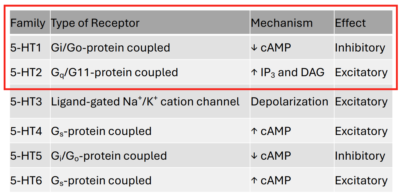 <ul><li><p>14 types have been identified with many subtypes</p></li><li><p>All are metabotropic GPCRs except 5-HT3 (ionotropic)</p></li></ul><div data-type="horizontalRule"><hr></div><ul><li><p>5-HT1 and 5-HT2 focused on - therapeutic + recreational drugs target these</p></li><li><p>most are metabotropic, slow</p></li><li><p>GABA = ionotropic</p></li></ul><p></p>