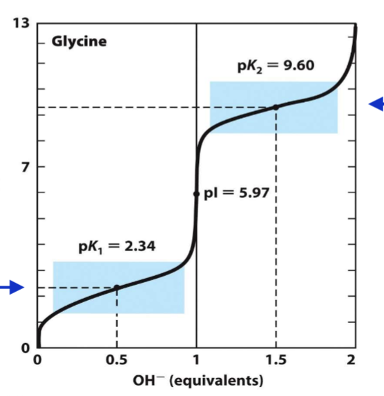 <p>2 buffering areas</p><p>dissociation of H+ CA is pk1 = 2.3</p><p>isoelectric point: 5.97 (charge is 0)</p><p>dissocaition from amino acid = 9.6</p>