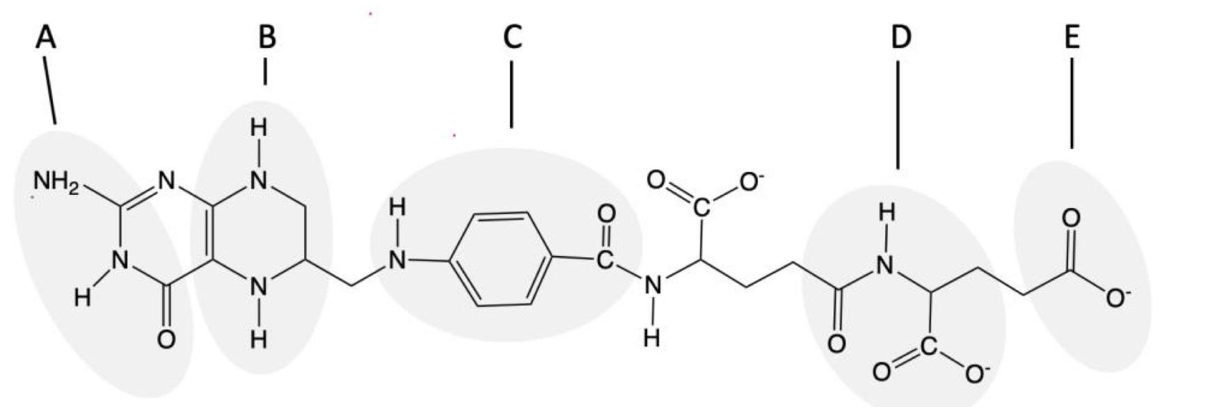 <p>Sulfonamides are an important class of antibacterial drugs that are returning to use with the rise of penicillin-resistant bacteria. Attached is the structure of THF. Which motif most closely resembles that of sulfonamide?</p>