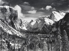 <p>A student studying Ansel Adams would MOST likely examine:</p>