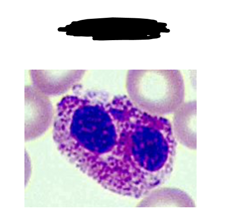 <p>identify the slide</p>