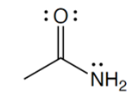 <p>functional group</p>