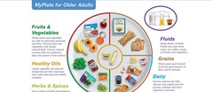 <p>It emphasizes nutrient-dense foods and adequate hydration.</p>