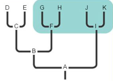 <p>Does not include the most recent common ancestor of all members of the group</p>