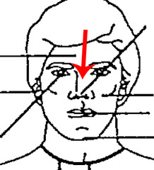 <p>Nose</p>