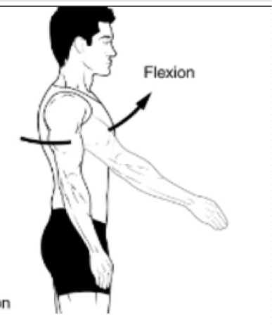 <p>Movement of humerus strait anteriorly </p><p>Sagittal Plane </p>