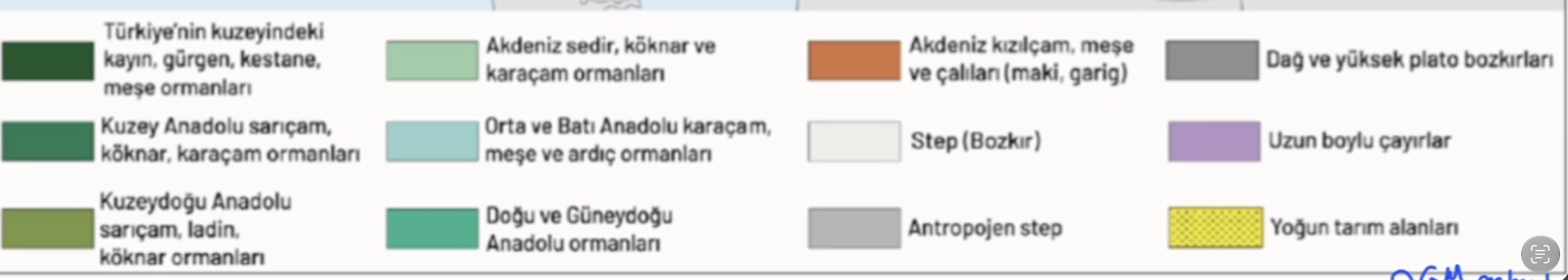 <p><span data-name="evergreen_tree" data-type="emoji">🌲</span> <strong>Karadeniz → Kayın + Gürgen + Kestane + Meşe</strong></p><p>Nemli iklim ve yağış fazlalığı → gür ormanlar.</p><p></p><p><span data-name="evergreen_tree" data-type="emoji">🌲</span> <strong>Doğu Karadeniz'in yüksek kesimleri → Ladin + Köknar + Sarıçam</strong></p><p><span data-name="warning" data-type="emoji">⚠</span> <strong>Ladin</strong> denince özellikle <strong>Doğu Karadeniz</strong> aklına gelsin.</p><p></p><p></p><p><span data-name="evergreen_tree" data-type="emoji">🌲</span> <strong>Sarıçam → Kuzeydoğu Anadolu (Erzurum-Kars çevresi)</strong></p><p><span data-name="brain" data-type="emoji">🧠</span> <strong>Sarıçam = Soğuk + yüksek</strong></p><p></p><p></p><p><span data-name="evergreen_tree" data-type="emoji">🌲</span> <strong>İç ve Batı Anadolu → Karaçam + Meşe + Ardıç</strong></p><p><span data-name="brain" data-type="emoji">🧠</span> <strong>Karaçam = İç kesimler</strong></p><p></p><p></p><p></p><p><span data-name="evergreen_tree" data-type="emoji">🌲</span> <strong>Akdeniz → Kızılçam</strong><br><span data-name="herb" data-type="emoji">🌿</span> <strong>Akdeniz'in doğal çalı örtüsü → Maki</strong></p><p><span data-name="warning" data-type="emoji">⚠</span> <strong>Kızılçam ≠ maki</strong></p><p>Kızılçam <strong>ağaç</strong>, maki ise <strong>çalı topluluğudur.</strong></p><p></p><p></p><p></p><p>Menteşe Yöresi → Kızılçam + Maki</p><p>Muğla ve çevresindeki dağlık alanlar.</p>