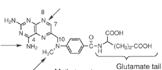 <p>what structure is this?</p>