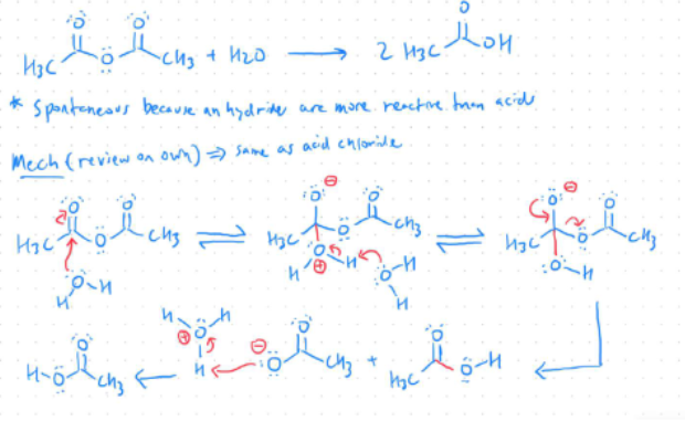 <ol><li><p>2 Carboxylic Acids are formed</p></li><li><p>Mechanism is the same as Acid Chlorides</p></li></ol><p></p>