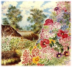 <p>- 1955 р.</p>