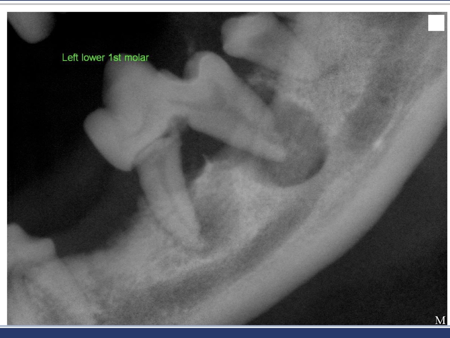 <p>what is this showing?</p>