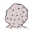 <p>body type?</p>