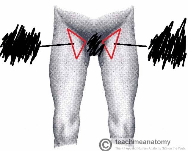 <p>Which Body Landmark?</p>