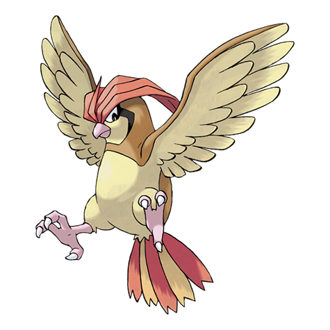 <p>What type is Pidgeotto?</p>