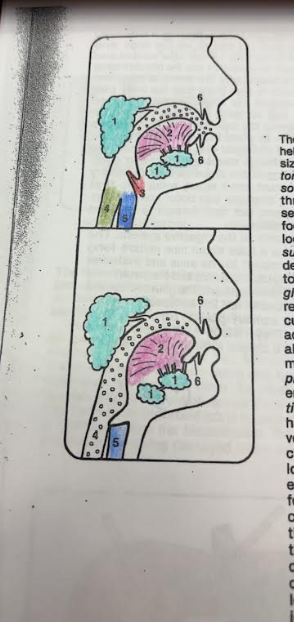 <p>What is number 2? </p>