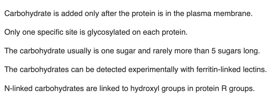 <p><span>Which of the following is </span><em>true</em><span> about glycosylated plasma membrane proteins?</span></p>