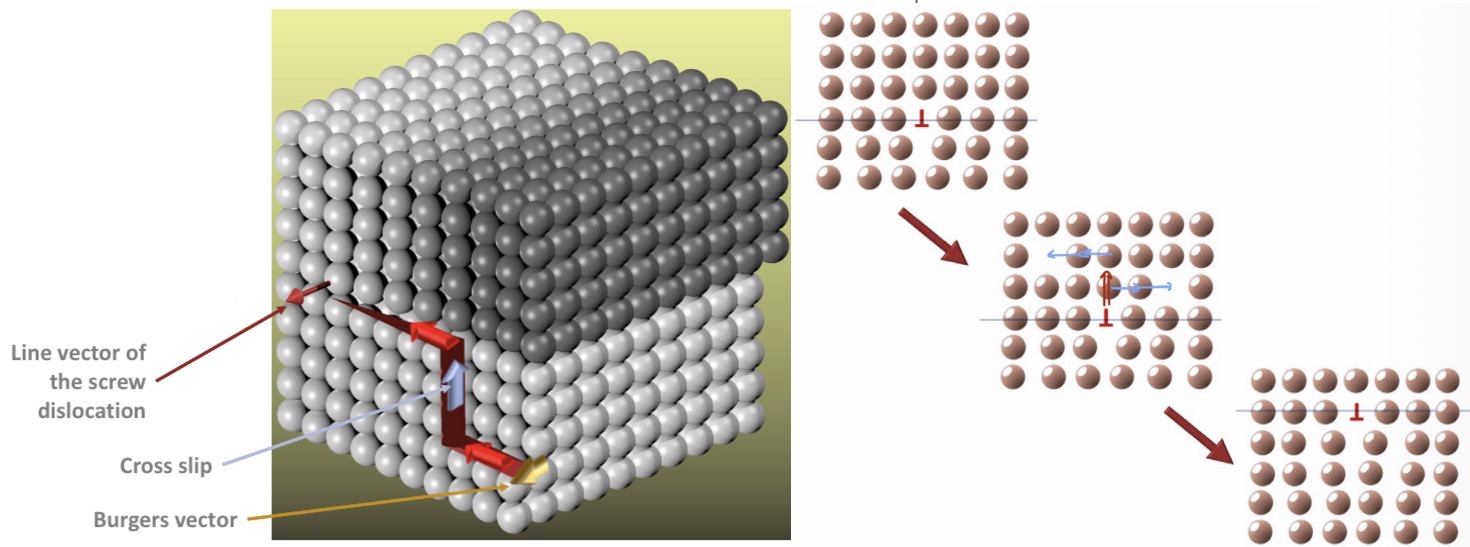 <ul><li><p><strong>climbing of edge dislocations</strong></p></li></ul><p>→ at high temperatures, thermal energy drives diffusion, which makes atoms move towards less dense areas</p><p>→ atoms diffuse towards vacancies</p><p>→ if a vacancy appears at the end of the edge dislocation, it has “climbed” up of one atom and is no longer on the slip plane</p><p></p><p><em>“<u>Non-conservative</u>” because it needs to absorb or release point defects (vacancies or interstitial atoms)</em></p><p><em>Requires high temperatures</em></p><p></p><ul><li><p><strong>cross slip of screw dislocations</strong></p></li></ul><p>→ gliding of dislocations is not constrained to a single slip plane</p><p>→ when a screw dislocation is gliding forward on its primary plane &amp; encounters a hindrance (obstacle), it simply switches onto an intersecting slip plane that crosses its original path</p><p>→ the dislocation glides along this alternative “detour” plane &amp; and then switch back onto a plane parallel to its original path</p><p></p><p><em>“<u>Conservative</u>” because it doesn’t need any atom diffusion</em></p><p><em>Can happen with lower temperatures</em></p><p></p><p>The metals gets softer because both edge &amp; screw dislocations use their thermal energy to overcome obstacles → lower energy = more stable state = less internal stresses</p>