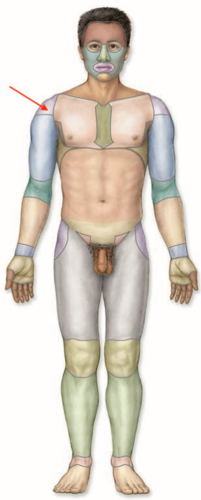 <p>what is this section called?</p>