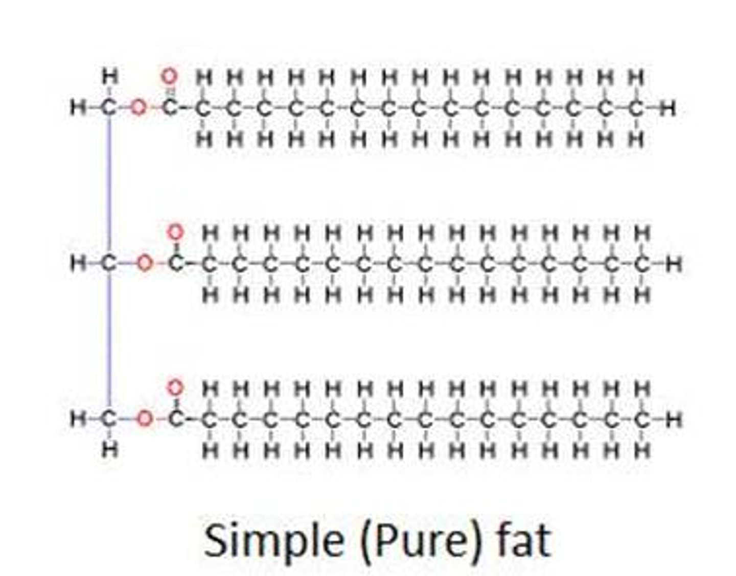 <p>fats</p>