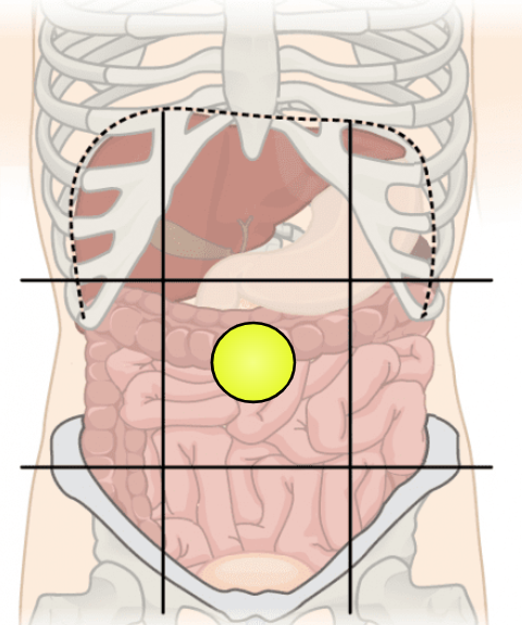 knowt flashcard image