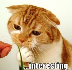 <p>It would interest me</p>