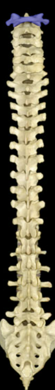 <p></p>