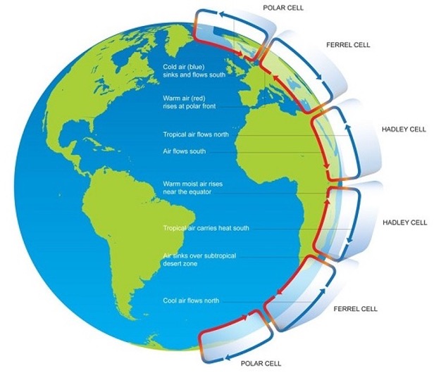 <p><strong>Main features of global atmospheric circulation: warm air rises</strong></p>