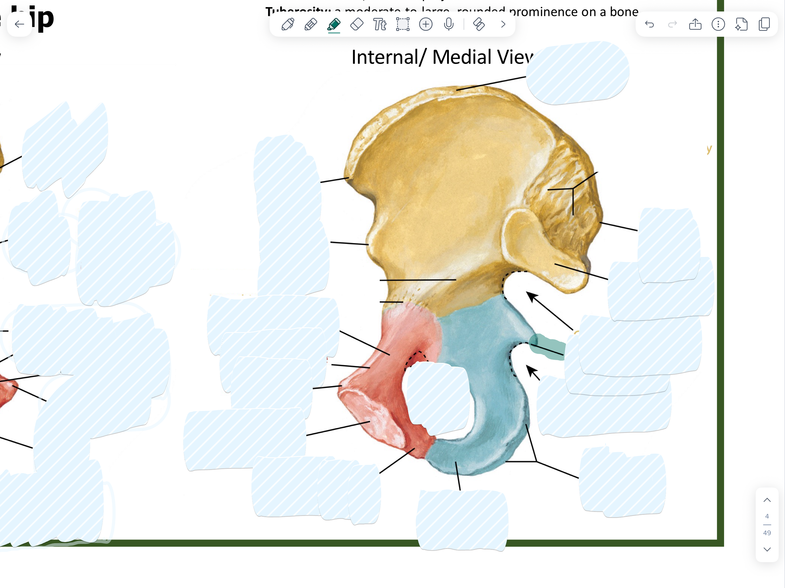 knowt flashcard image