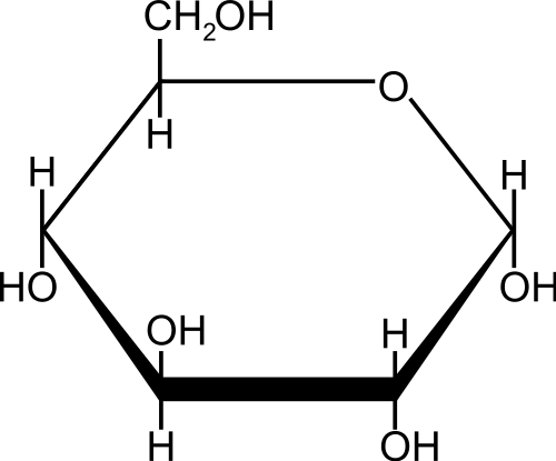 <p>Provides cells with energy and structural support.</p>