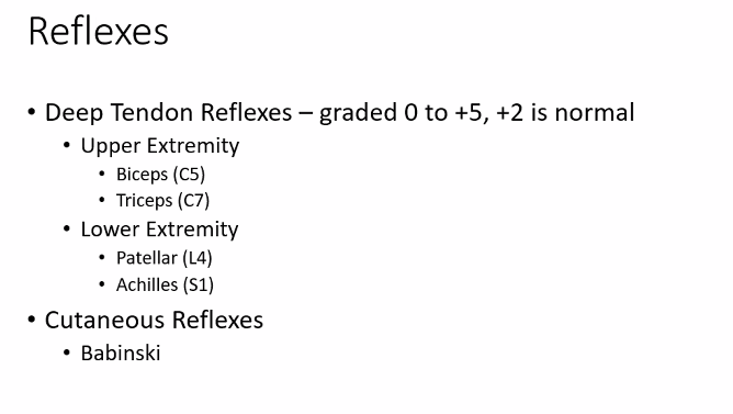 <p><u>reflexes</u></p><p>-this will be on your quiz. </p>