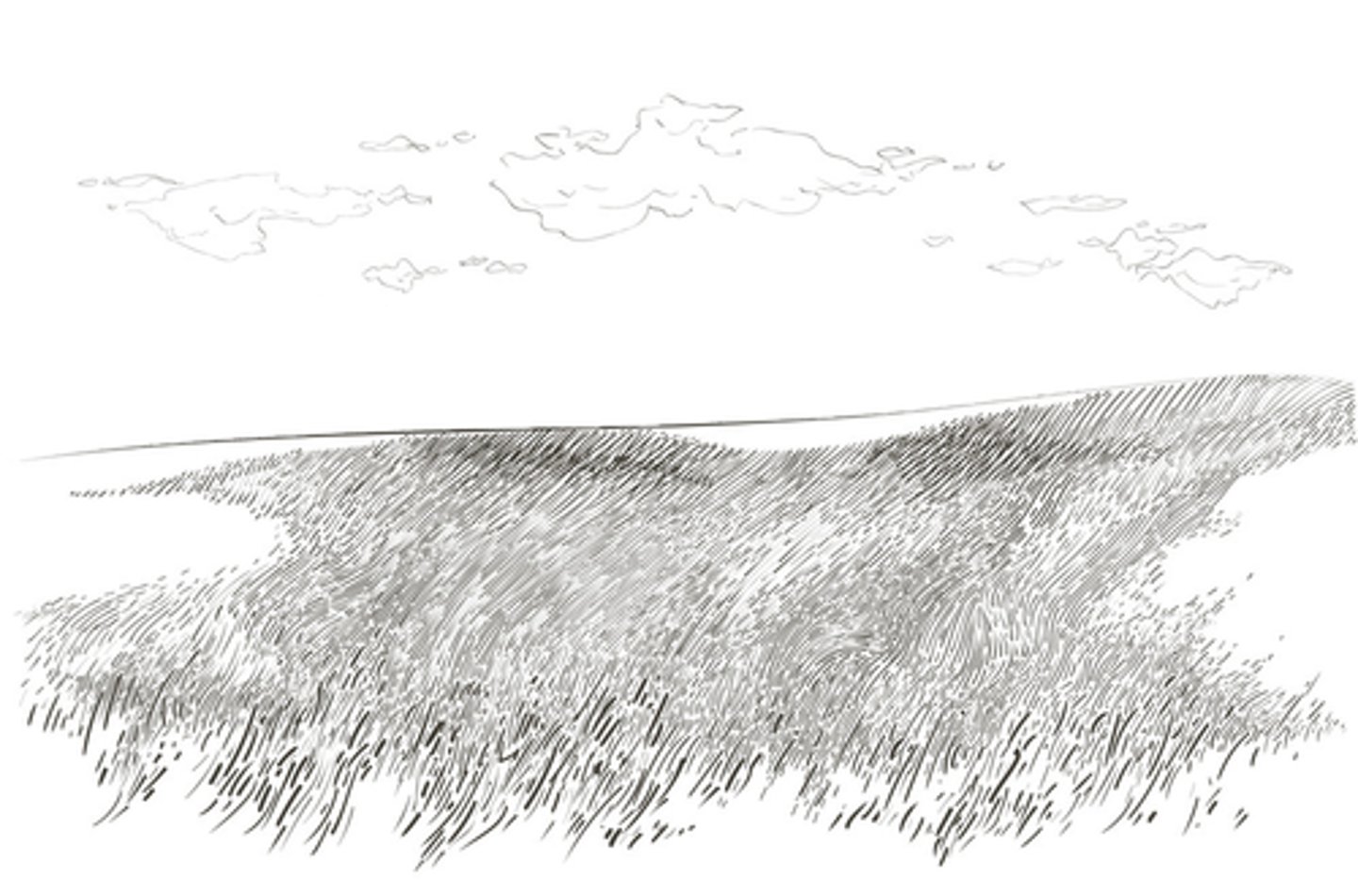 <p>nomen:</p><p>An open place with grass and flowers but no trees</p><p>(field, plain)</p>