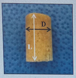 <p>cylindrical bone grafts made from spongy cancellous bone, often with a cortical shell on one end</p>