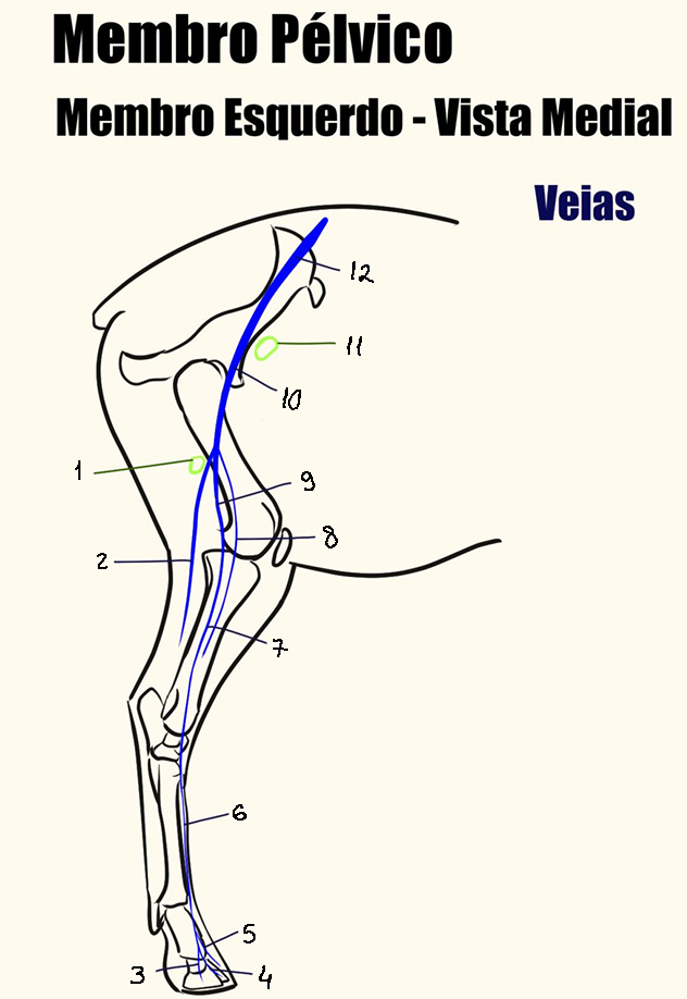 <p>1</p>