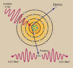 <p>High-energy photon interaction in which the incident photon interacts with the intense electromagnetic field of the nucleus. The photon disappears and in its place, an electron-positron pair appears. </p><p>( not relevant in nuc med )</p>