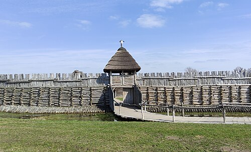 <p>co to</p>