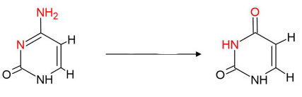 <p>What chemical reaction is this?</p>