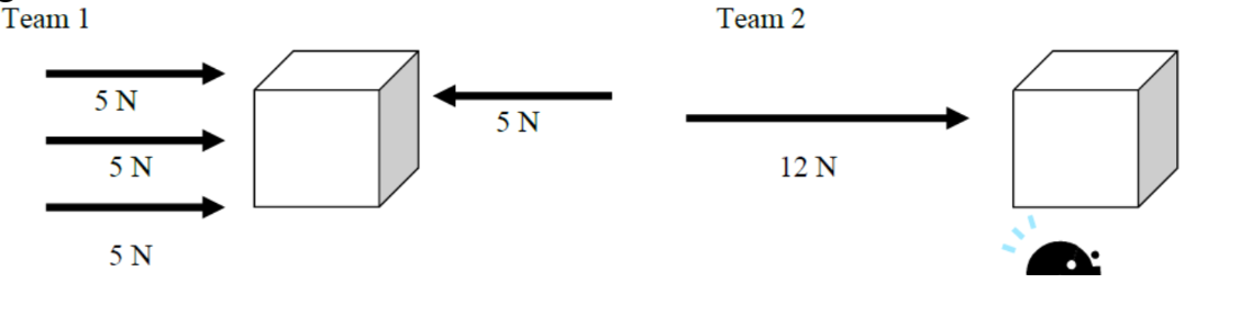 <p>Which team will push the box further?</p>