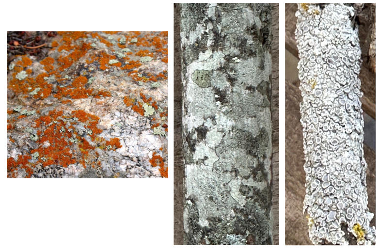 <p>flat on surface</p>