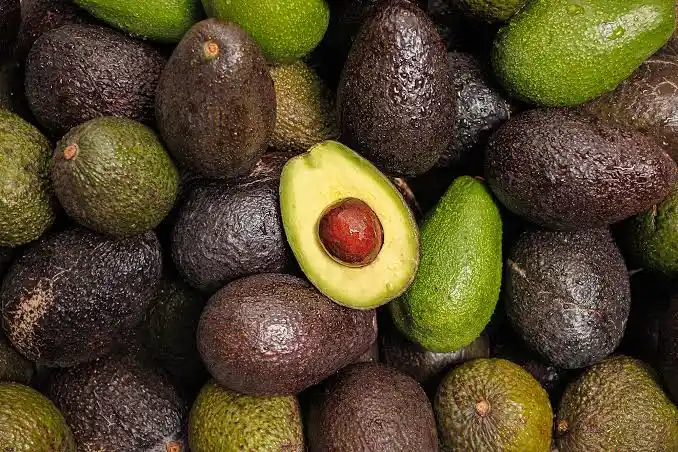 <p><strong>Avocado</strong></p><p></p><p></p><p></p><p><span data-name="check_mark_button" data-type="emoji">✅</span>PROPER<span data-name="check_mark_button" data-type="emoji">✅</span></p>
