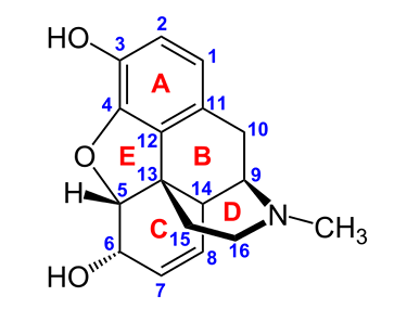<p>[Structure Activity Relationship of Opoids]</p><p>Phenolic OH group is needed for binding of _________ receptors?</p><p>a. Mu and delta</p><p>b. Mu and kappa</p><p>c. Kappa and delta</p><p>d. Mu only</p>