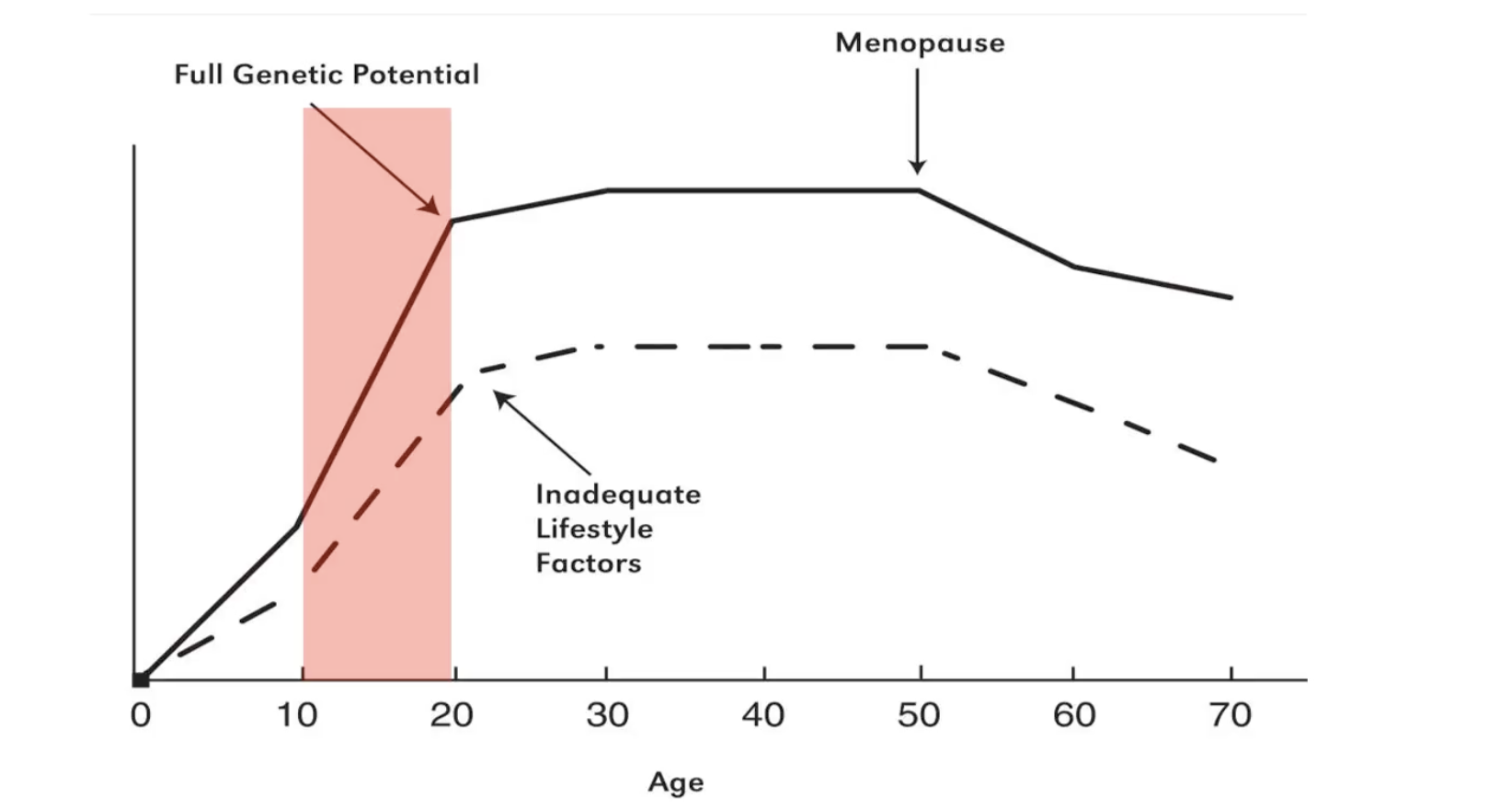 <ul><li><p>Accrue as much bone mass as possible in bone building years </p></li></ul><p></p>