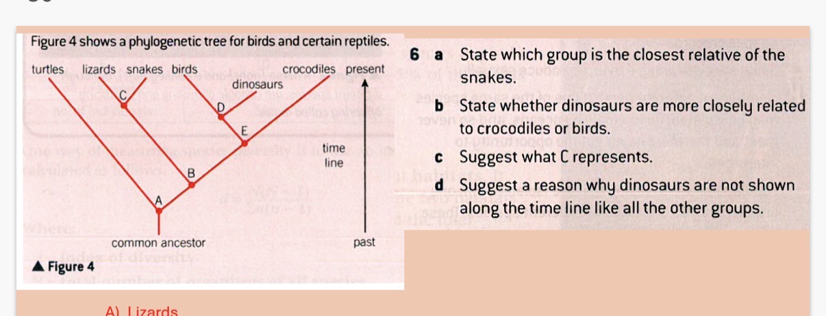 <p>Answer image q?</p>