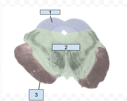 <p>2</p>