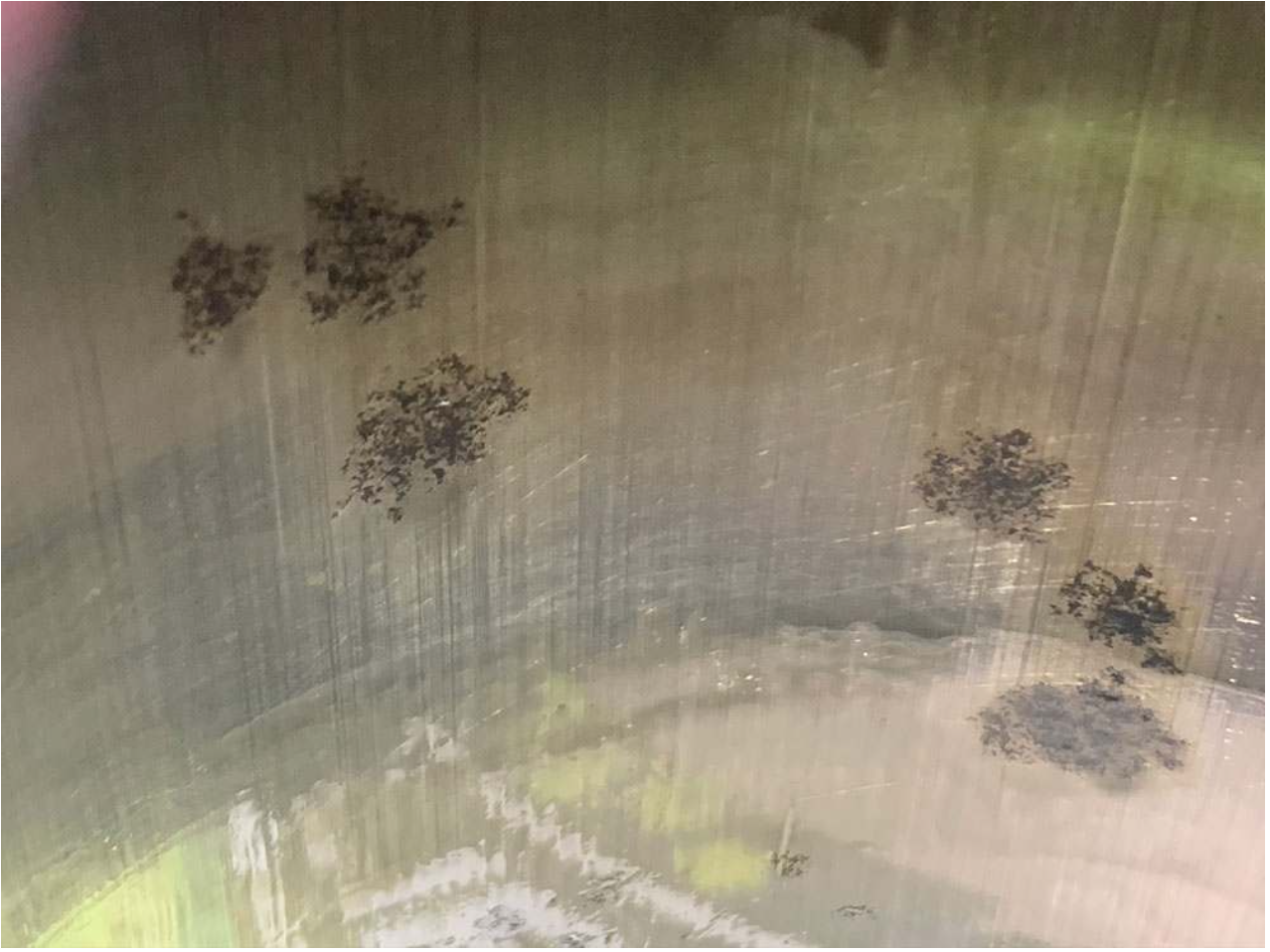 <p>What type of corrosion is this?</p>