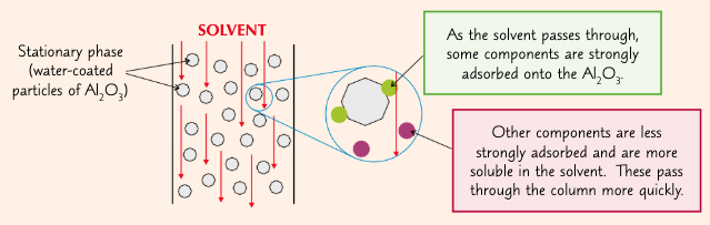 <p>more polar groups will be retained longer through the column i.e. they will come out later</p>