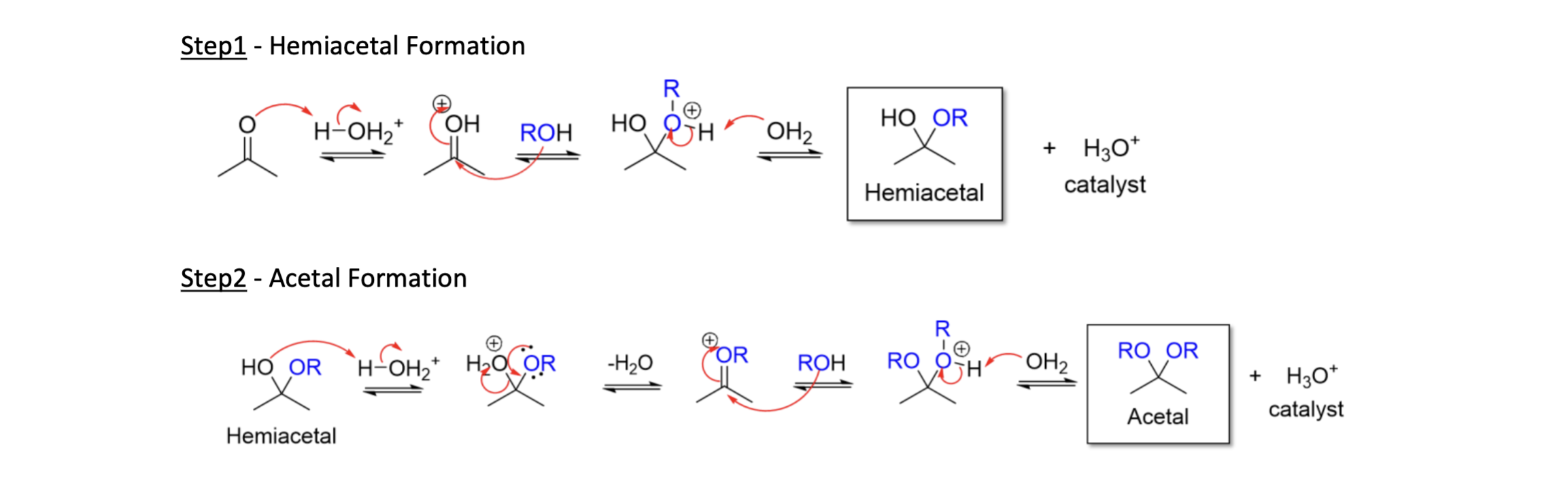 <p>2 OH mol attack carbonyl<br>Hemiacetal intermed<br>TsOH &amp; H2SO4 (expt = H3O+)<br></p>