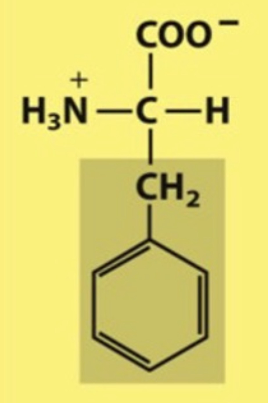 <p>Name the amino acid in figure</p>