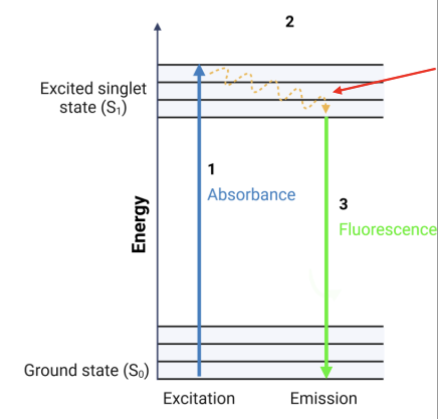 <p>What are the 3 steps of the Jablonski diagram?</p>